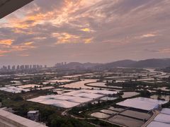 -广东惠东海龟国家级自然保护区