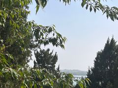 -颐和园