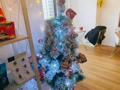 -Husky Go! 哈士奇体验馆·宠物咖啡厅狗咖