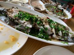清蒸白鱼-宾湖农庄·农场特色(太湖龙之梦店)
