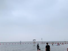 -碧海金沙