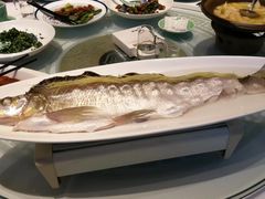 -西湖春天•老字号杭州菜(百汇店)