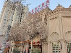 -喀什骑仕大观园