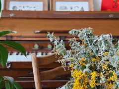 -春风十里咖啡馆