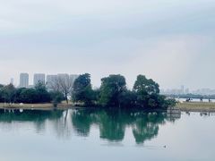 -瑶湖郊野森林公园