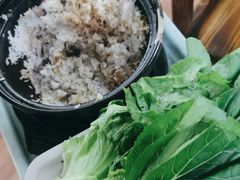 -麻奢鸽农庄·梦里水乡