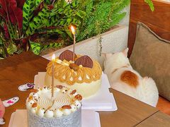 -B.O.M波姆烘焙(凤凰街店)