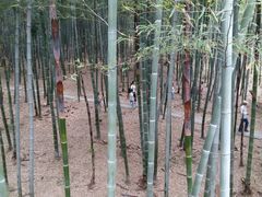 -陶祖圣境风景区