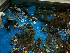 -盒马鲜生(189购物中心店)