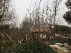 -思念果岭悦温泉