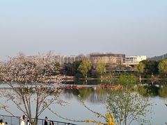 -羊山湖公园