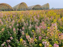 -中国天府农业博览园