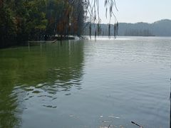 -东湖落雁景区