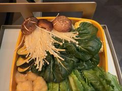 -润园四季椰子鸡火锅(卓越INTOWN店)