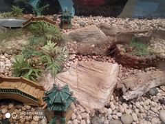 -上海昆虫博物馆