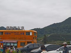 -龙坞茶村