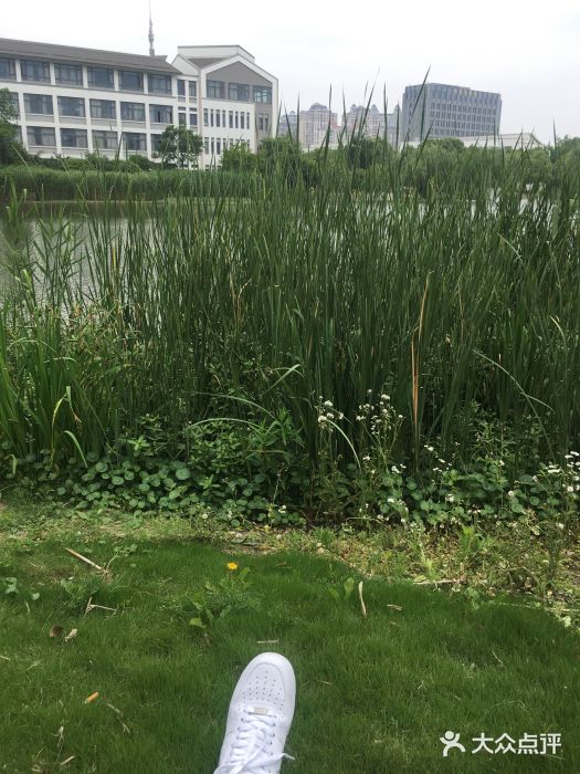 苏州工学院(东南校区)图片