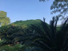 -华南国家植物园-售票处