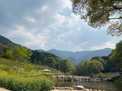 -广州市石门国家森林公园