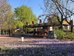 -朝阳公园游乐园