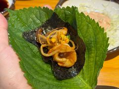 -红辣椒八爪鱼特色韩国料理专门店(远景路旗舰店)
