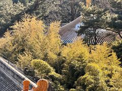 -潭柘寺景区