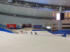 -哈尔滨热雪奇迹