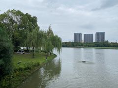 -南翔镇银翔湖公园