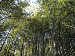 -四门塔风景区