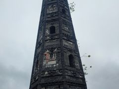 -上海佘山国家森林公园天马山园