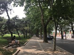 -清华大学-清芬园