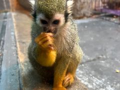 -泉城欧乐堡海洋极地世界