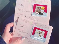 -浪漫一生摄影美学(怀柔开放路店)