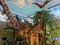 -甘肃地质博物馆