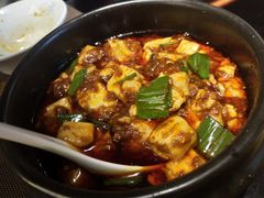 -陈麻婆豆腐总店