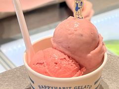 -海比甜店·意式手工冰激淋happy habit gelato