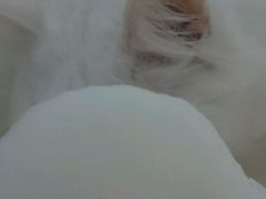 -一品方糕专卖店