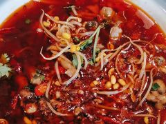 -杨氏青龙虾·羊蝎子(珠江路店)
