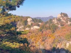 -六里坪国家森林公园