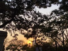 -八大关景区