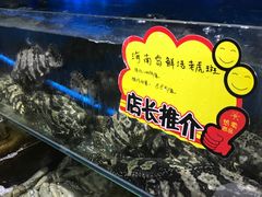 -蚝专家(北滘店)