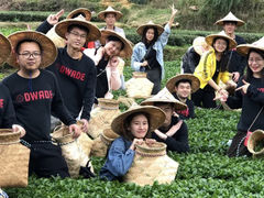 -厦门老字号·旷野茶叶(茶厂直营中山路店)