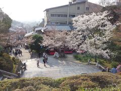 -有栖山 清光院 清水寺