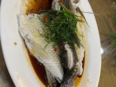 -金瑞轩大酒楼·顺德鱼生·粤菜海鲜(东江国际店)