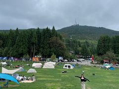 -武陵山森林公园