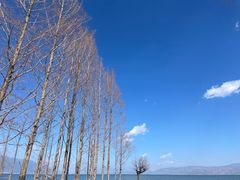 -大理洱海