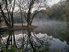 -茅家埠