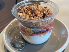 -Wagas沃歌斯(汇智店)