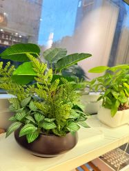 点击看大图 -初心はつ こころ日式美甲美睫沙龙