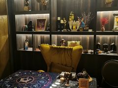-雪灵魔法世界SHELLY’S TAROT(大良桂畔里店)